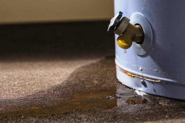 Water damage restoration insurance claims in Great Falls, SC