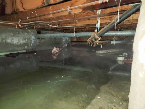 Water damage restoration process in Great Falls, SC