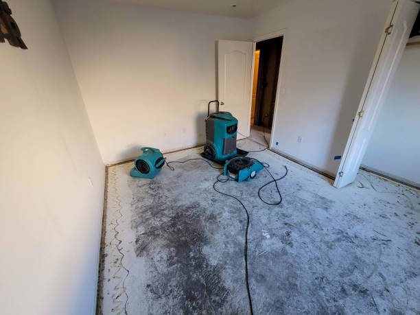 Best 24-hour water damage restoration  in Great Falls, SC