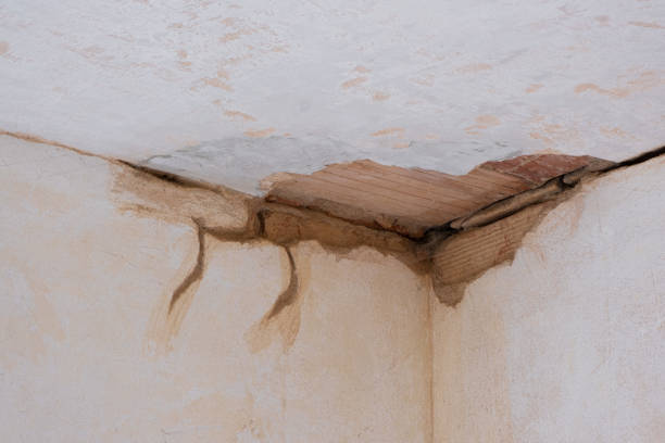 Reliable Great Falls, SC Water damage restoration Solutions