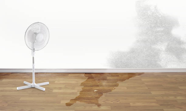 Best Water damage restoration process  in Great Falls, SC