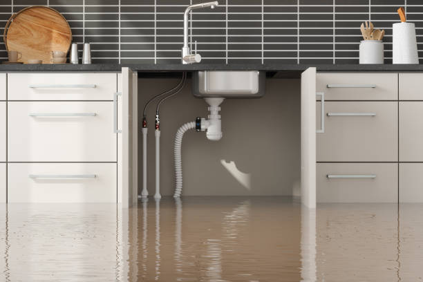 Best Water damage cleanup near me  in Great Falls, SC